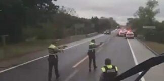 A horas de la visita de Sheinbaum se enfrenta GN y delincuencia organizada en la México Tuxpan deja muertos.