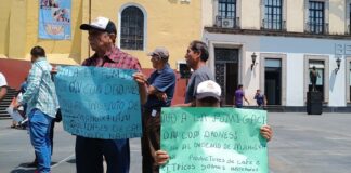 Están matando al campo mexicano, denuncian cafetaleros veracruzanos .