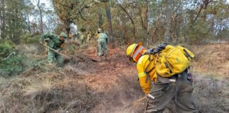 Identifican a persona que provocó incendio en Perote .