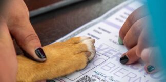 Convocan a niñas y niños a registrar a sus mascotas #Xalapa