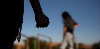 La incidencia delictiva en el primer trimestre del 2024 .