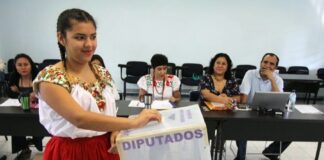 Violencia electoral 2024 supera al 2018. Algunos territorios analizan si podrán ejercer votaciones .