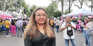 OPLE VER recibió queja por presunta violencia política en razón de género en agravio de Rocío Nahle García