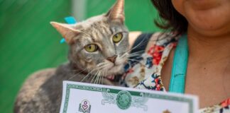 Niñas y niños registran a sus mascotas en Xalapa.