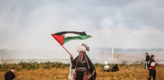 Imágenes “barbáricas” tienen lugar en la Franja de Gaza .