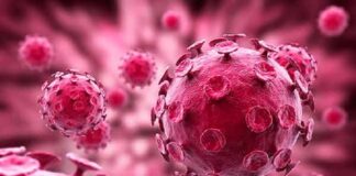 ¿Eres activo sexualmente? Evita el contacto con el virus del papiloma humano