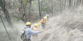 Liquidados los incendios de Altas Montañas, dice PC.