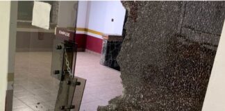 Balacean estación migratoria en