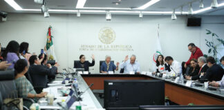 Buscan darle a AMLO el poder de amnistiar a quien quiera.