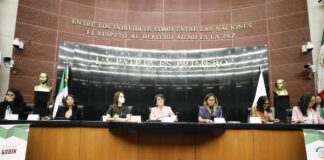 Necesario, eliminar “división sexual del trabajo”, coinciden en el Senado de la República.