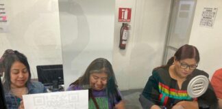 Defensoras de Baja California impugnan candidaturas indígenas usurpadas por hombres .