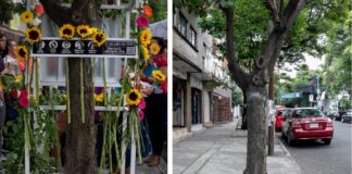 Retiran memorial del Caso Narvarte; “lo volveremos a poner”, aseguran activistas.