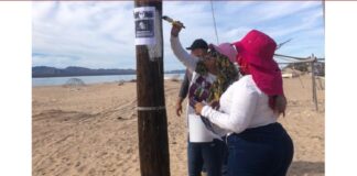 Importante visibilizar orfandades producto de la desaparición forzada en México: Ceci Flores