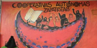 El Común, camino para superar la crisis climática, el despojo y violencia: Colectivos en defensa del territorio