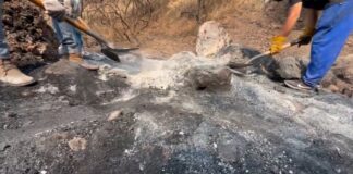 Chocan activistas y fiscalía capitalina por crematorio clandestino en CDMX