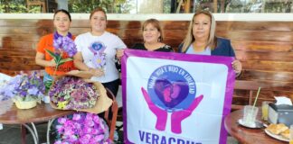 Veracruz, tercer lugar nacional en casos de Violencia Vicaría.