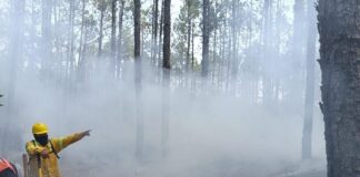 Fuerzas de tarea trabajan en atención a tres incendios forestales.