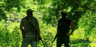 Informe del International Crisis Group involucra al Ejército mexicano en ejecución de 400 miembros del CJNG en sexenio de AMLO