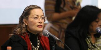 “Sicariato digital” se considerará violencia contra mujeres .