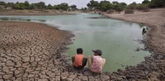 El 84 por ciento del estado de #Veracruz presenta sequía: SPC