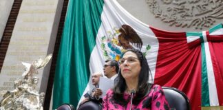 México necesita una real transición hacia las energías limpias: Marcela Guerra Castillo