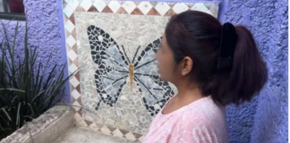 Las violencias contra las mujeres, su invisibilización en agendas gubernamentales