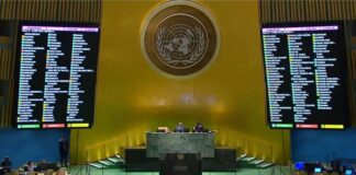 México respalda en Asamblea General de la ONU a Palestina para obtener membresía plena