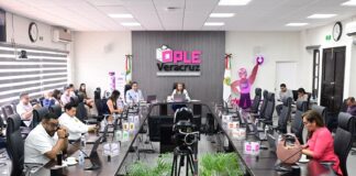 Aprueba OPLE Veracruz Titularidad a dos miembros SPEN, en la Dirección Ejecutiva de Organización Electoral