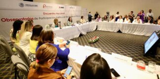 Tribunales, serán clave para hacer valer la paridad tras elecciones: consejera INE.