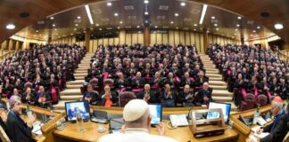 Papa Francisco ofrece disculpa: En la Iglesia hay sitio para todos señala.