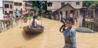 Realizan un llamado para proteger a periodistas y la libertad de expresión .