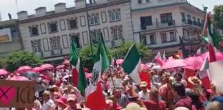 Miles en la marea rosa de las ciudades de #Veracruz #Xalapa #Coatzacoalcos #Córdoba