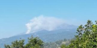 Reportan incendio forestal en Paso Panal de Xico.