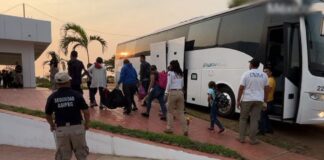 Aseguran a 82 migrantes centroamericanos en #Veracruz .