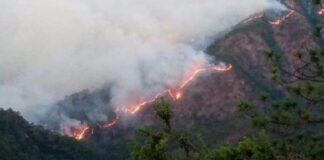 Chimalapas en Llamas.