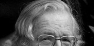 Chomsky sigue entre nosotros .