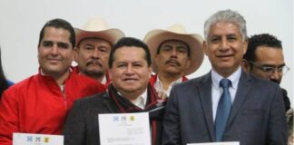 Modelo partidista mexicano, obsoleto.