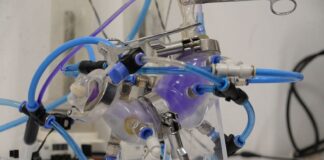 Crean universitarios estómago artificial que imita funciones del órgano humano.