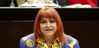 Entrevistas migratorias a niñas, niños y adolescentes deben ser practicadas por personal especializado.