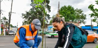 Realiza Ayuntamiento de Xalapa jornada de plantación de árboles .