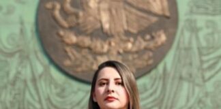 La amenaza de la sobrerrepresentación en México .