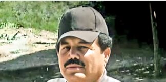 El Mayo Zambada e hijo del Chapo fueron detenidos en EU.