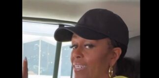 ¿Michelle Obama reemplazará a Joe Biden a la presidencia?