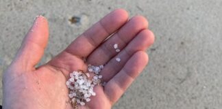 Encuentran micro plásticos en penes, semen y placenta.