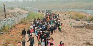 Aumenta migración de mexicanos en familia a EUA por la violencia.