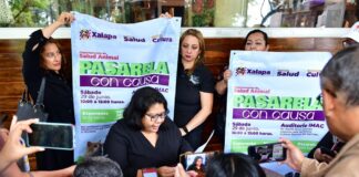 Invita Ayuntamiento de Xalapa a Pasarela de animales de compañía .