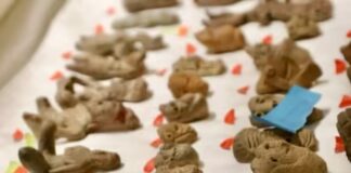 La UNAM reúne 15 mil 550 piezas de sus principales acervos arqueológicos.