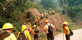 Gobierno de Veracruz dice que incendio de Quimixtlán no está del lado de Veracruz