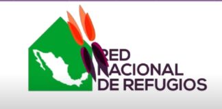 Red Nacional de Refugios pide a Sheinbaum gobernar desde la democracia, rompiendo el pacto patriarcal