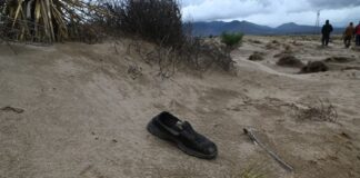 Totalco, la delgada línea entre la libertad de manifestación y el respeto a las leyes